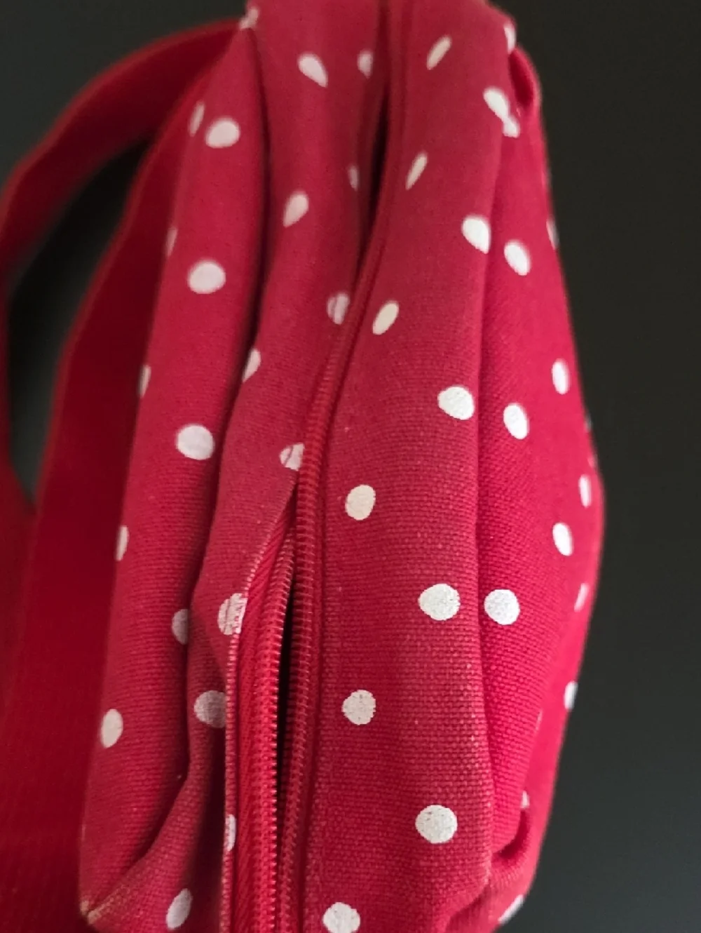 Capezio Polkadot Crossbody Bag